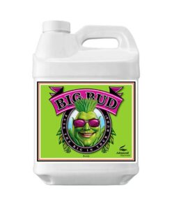 Big Bud