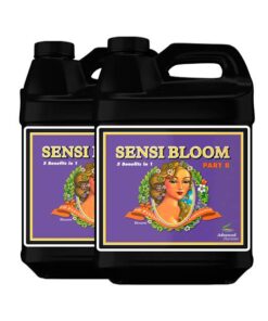 Sensi Bloom B