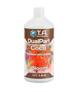 T.A DualPart Coco Bloom