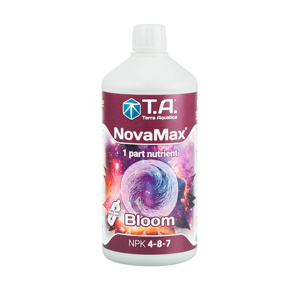 T.A Nova Max Bloom