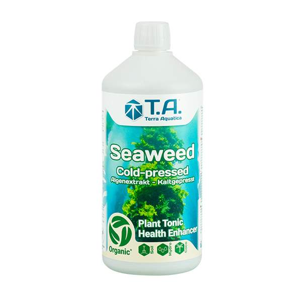 T.A Seaweed